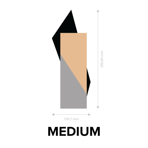 STRIKE_5_medium_.jpg